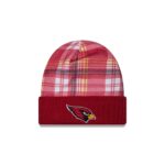 Arizona Cardinals 2024 Cold Weather Statement Knit Beanie